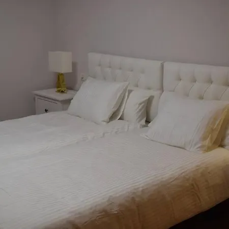 Disfruta En Duplex A 350m De La Catedral *